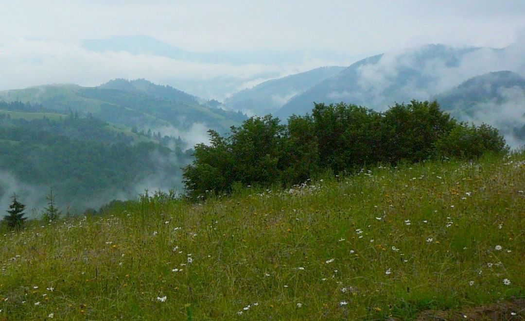 Boržava Vyhorlat 236-do-kolocavy  