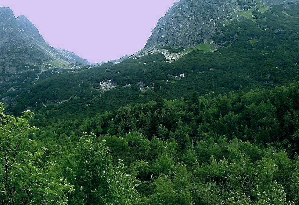 A_360[1]